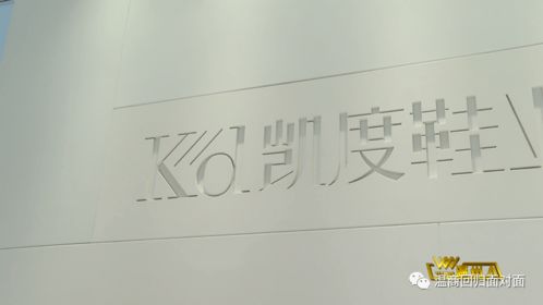 刘彬 以产品研发驱动温州鞋业升级，教育项目与科研文献并进